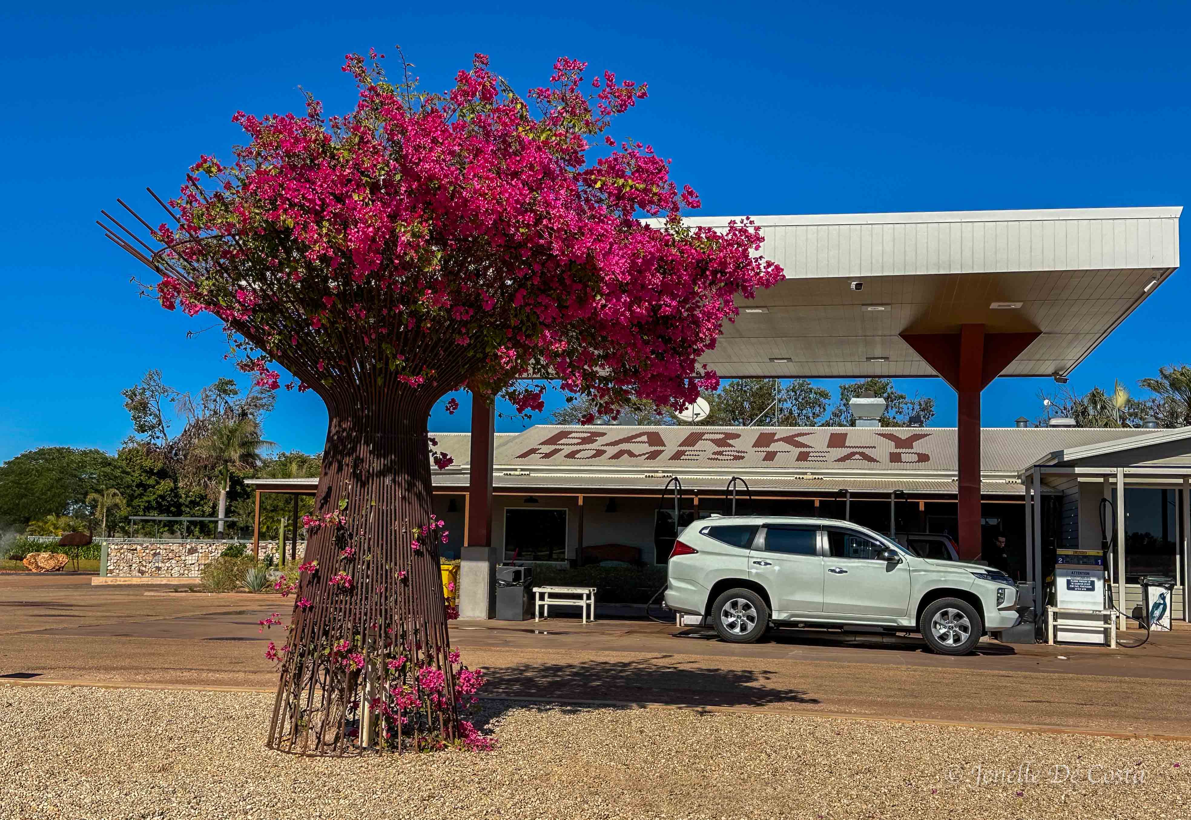 Boganvillea growing in a vase scupture
