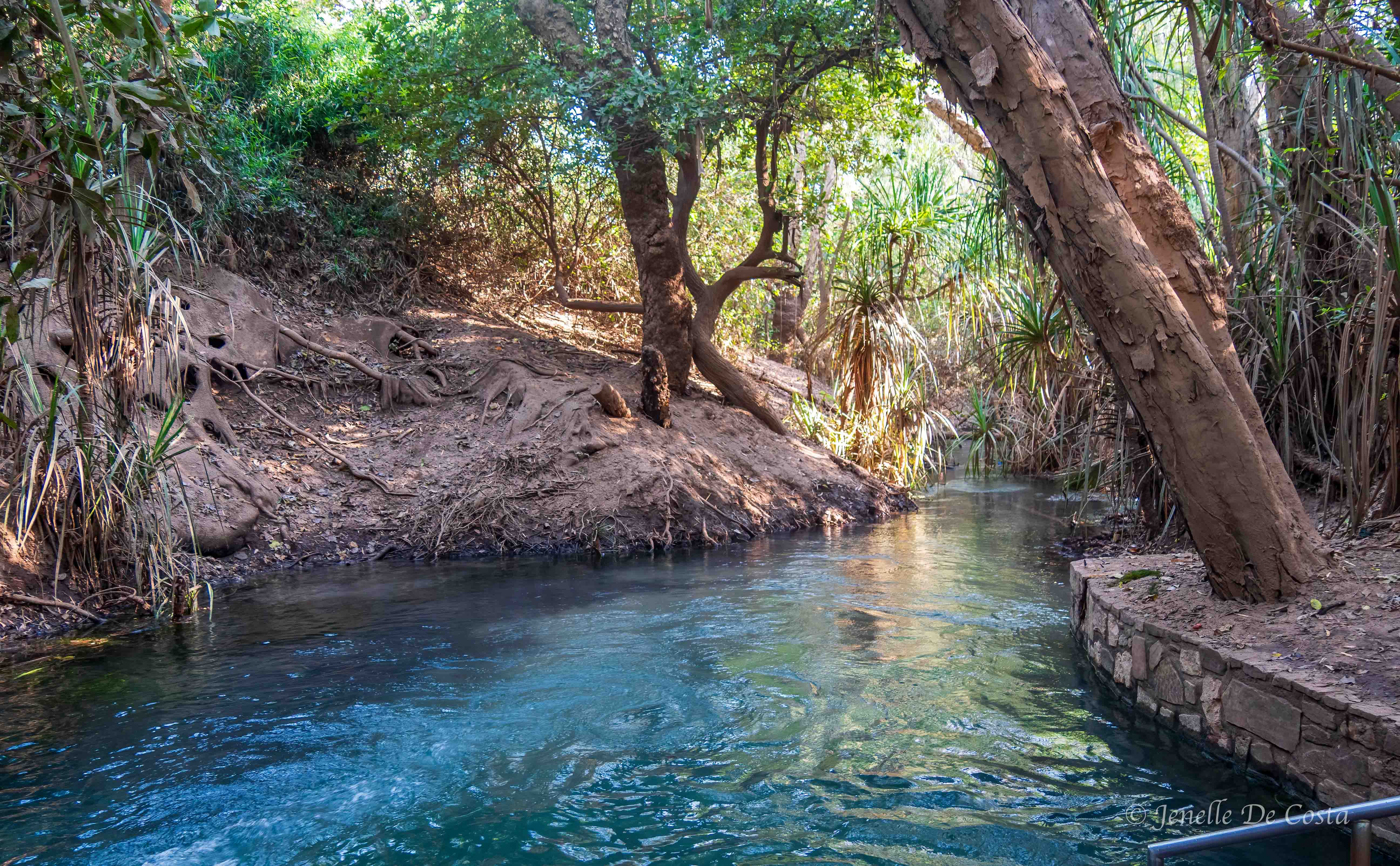Katherine Hot Springs