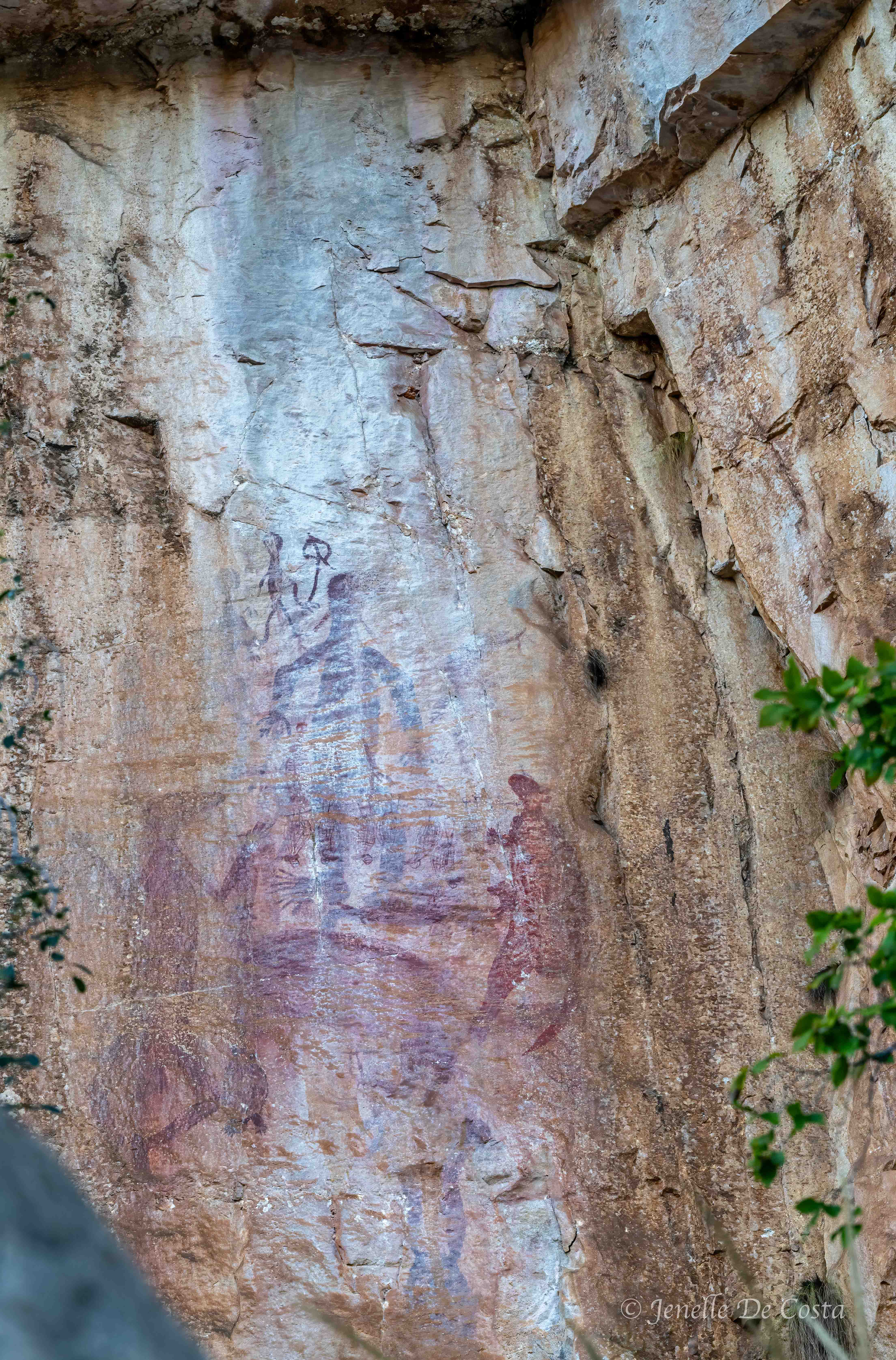 Rock Art dated to 40,000 years. Nitmiluk Gorge (Katherin Gorge)