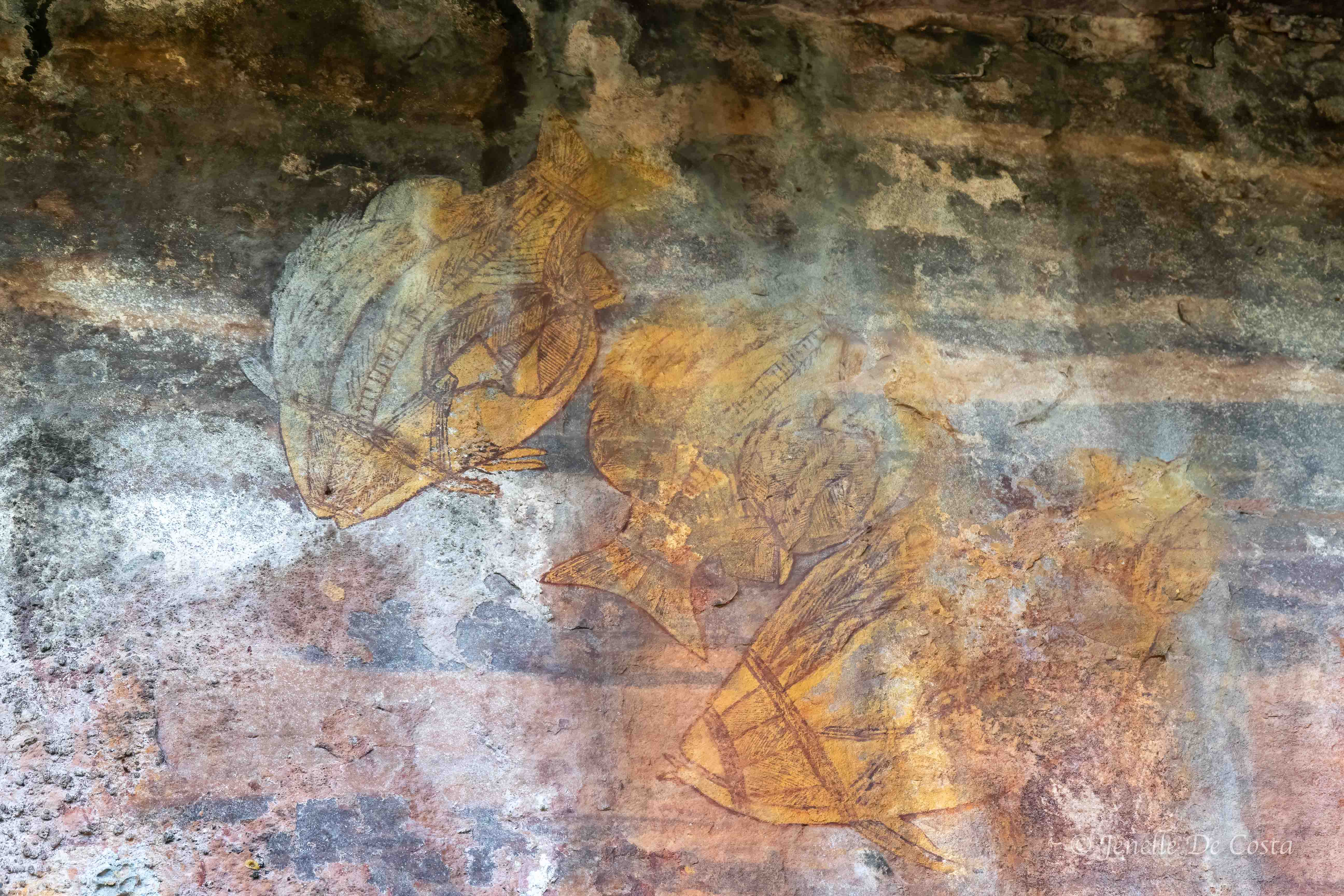 Ubirr Cave Paintings