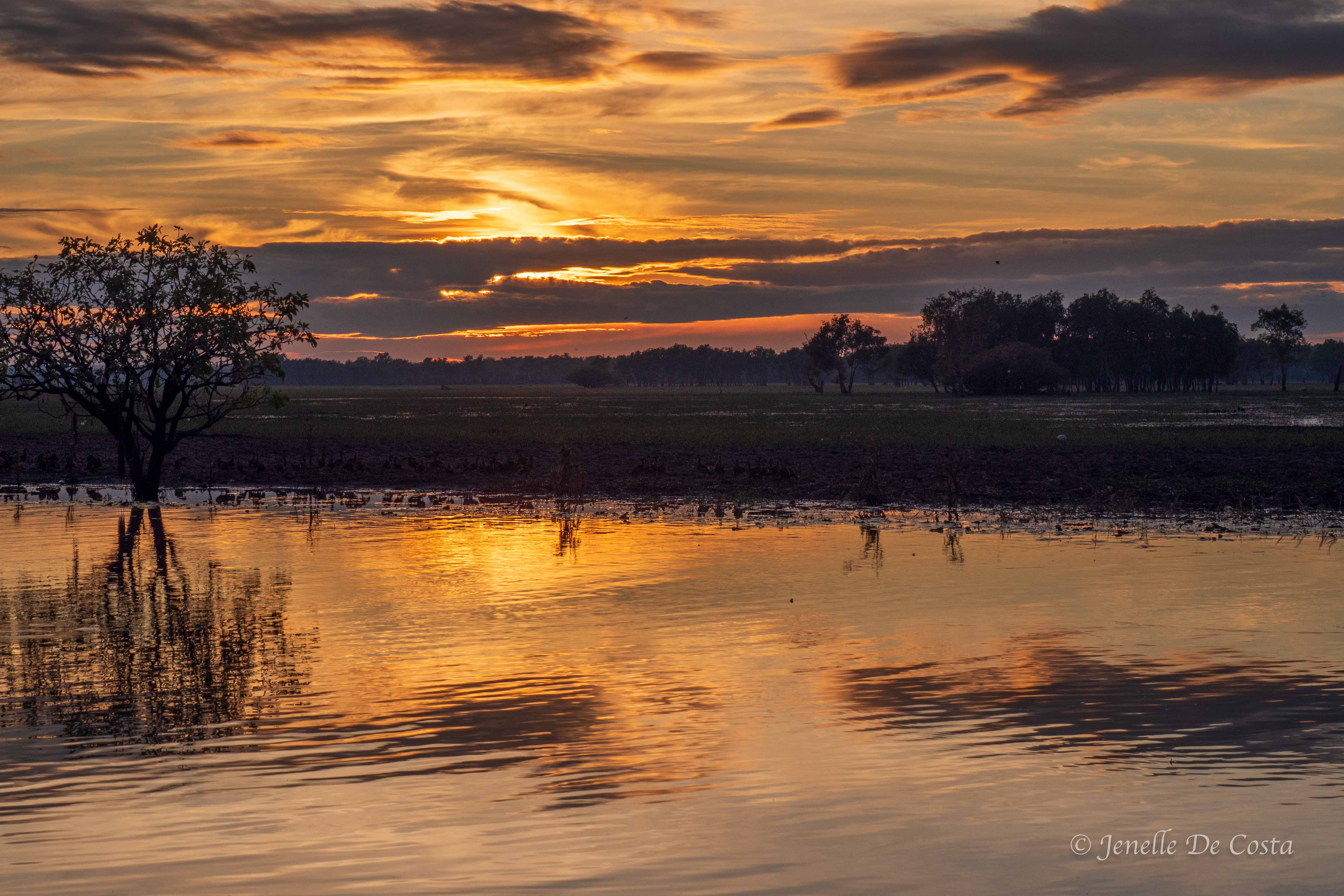 Soon Yellow Water turned a magical golden hue