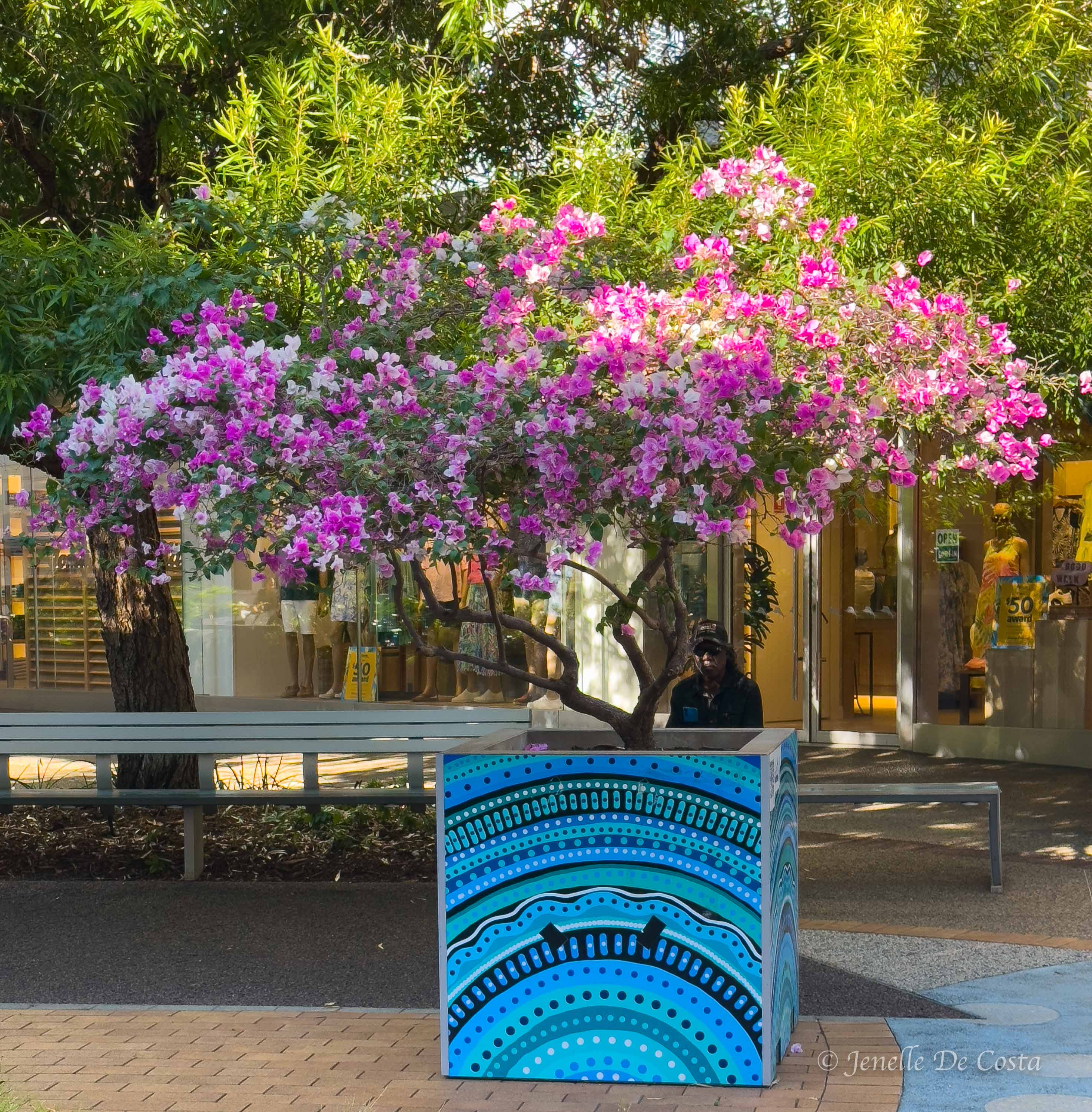 Darwin street mural