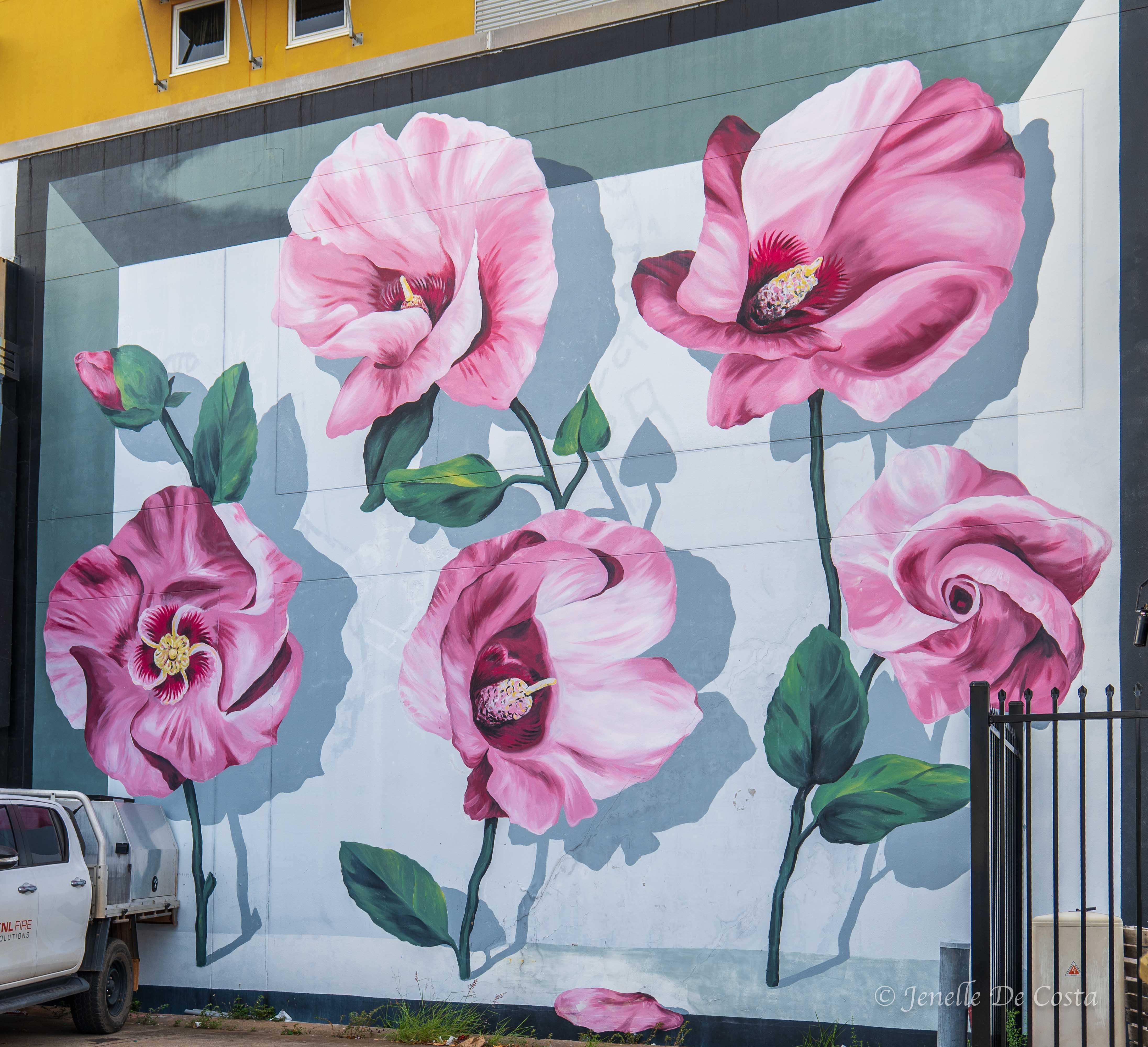 Darwin street mural