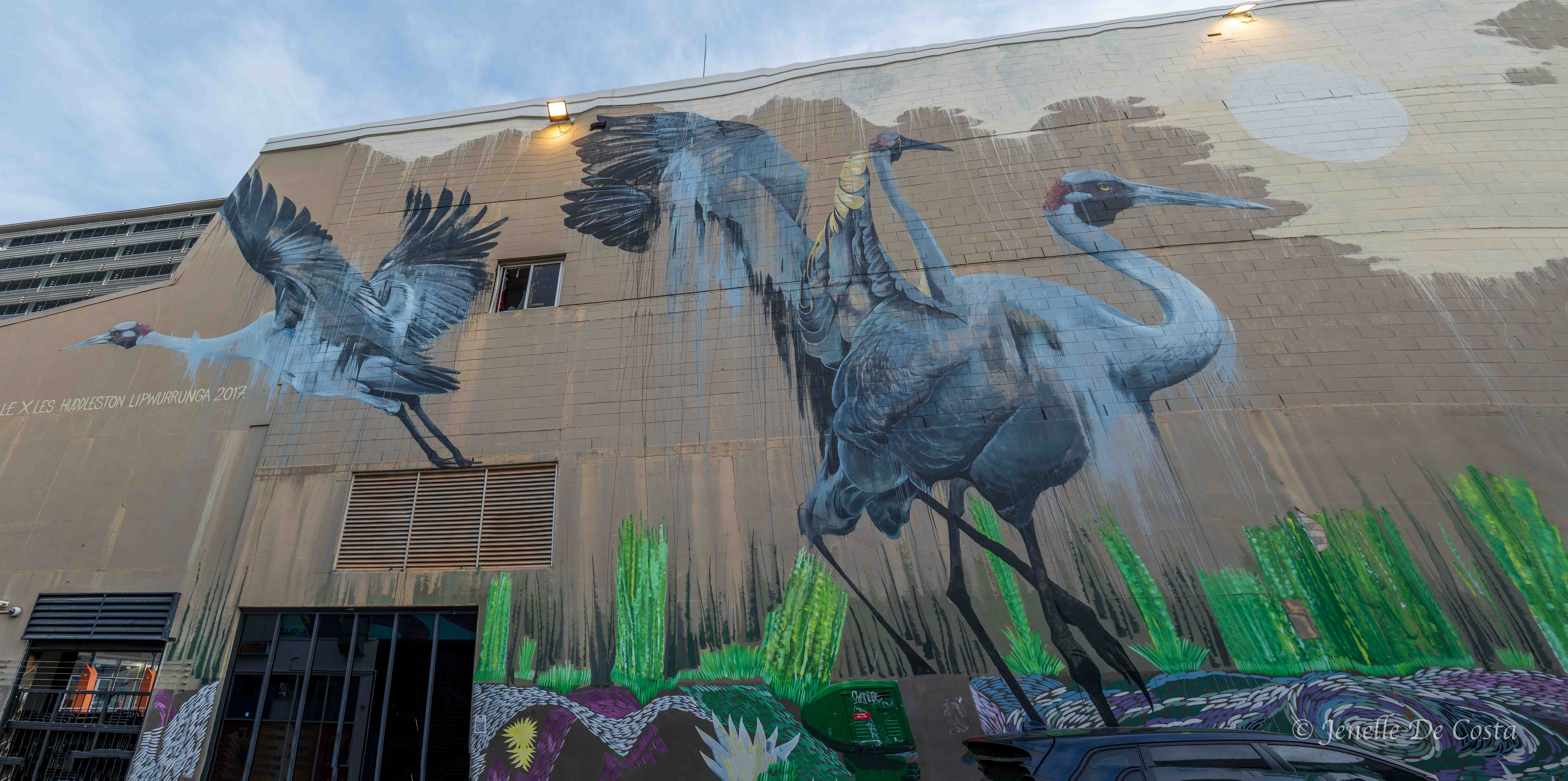 Darwin street mural