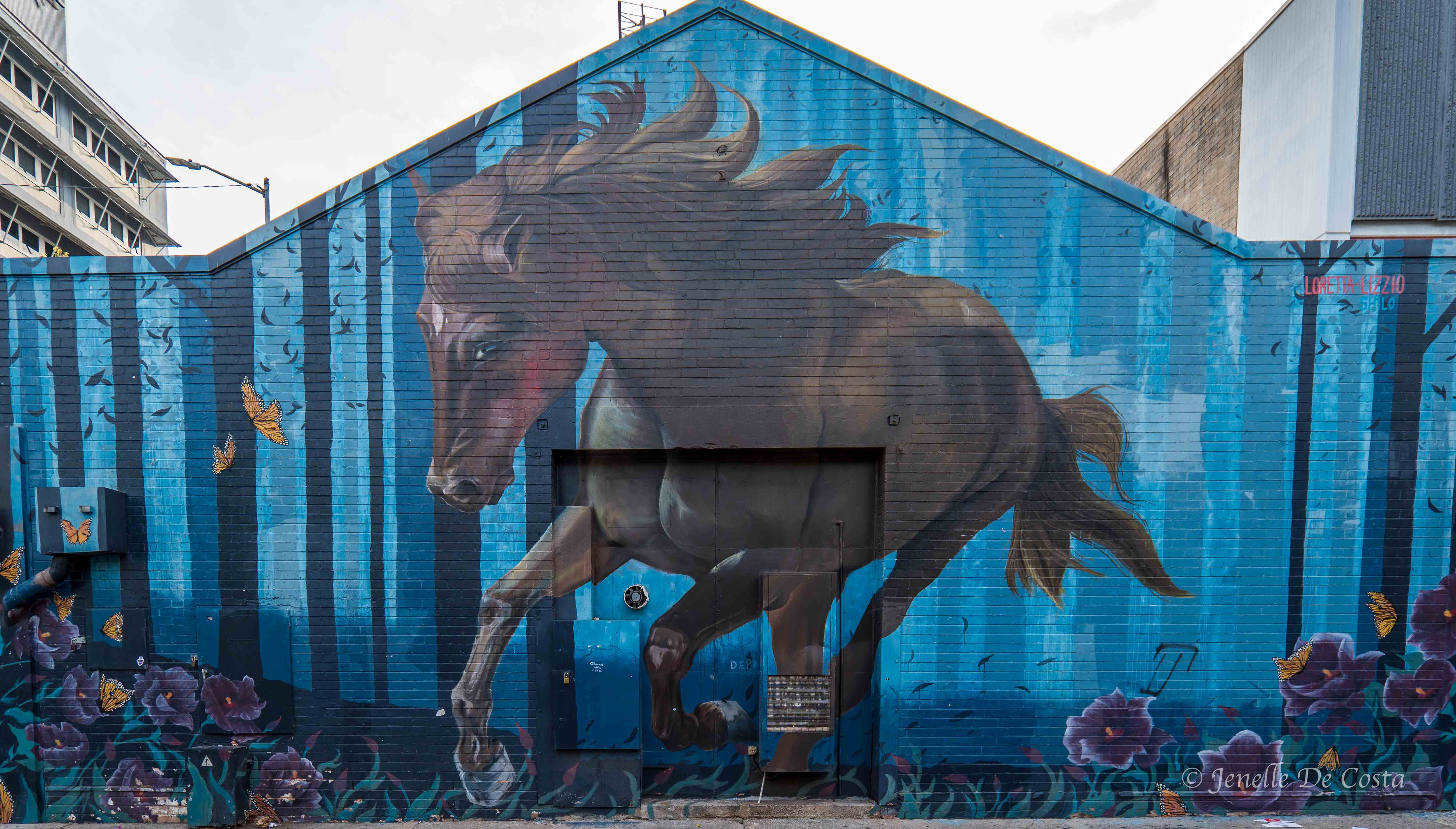 Darwin street mural