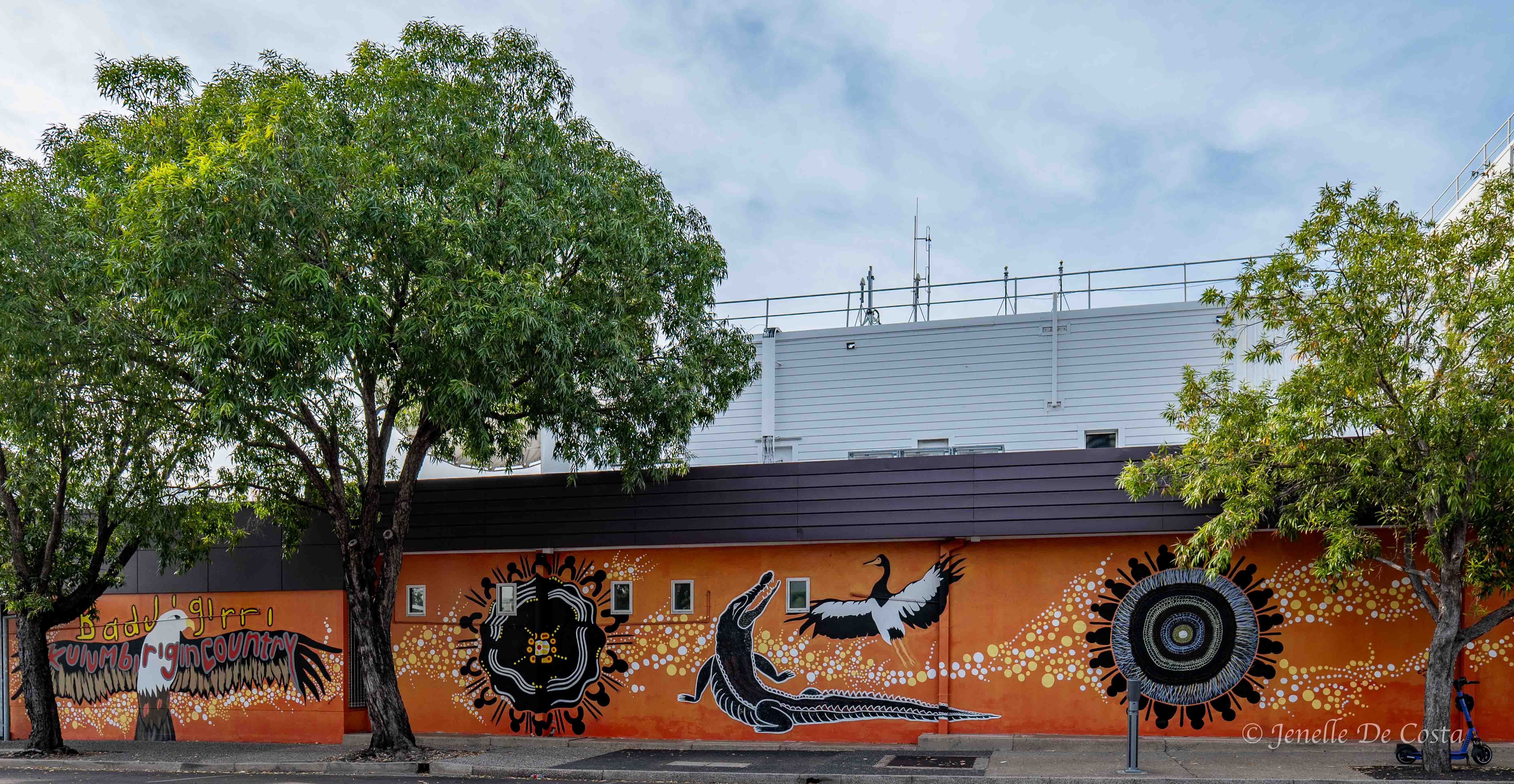 Darwin street mural