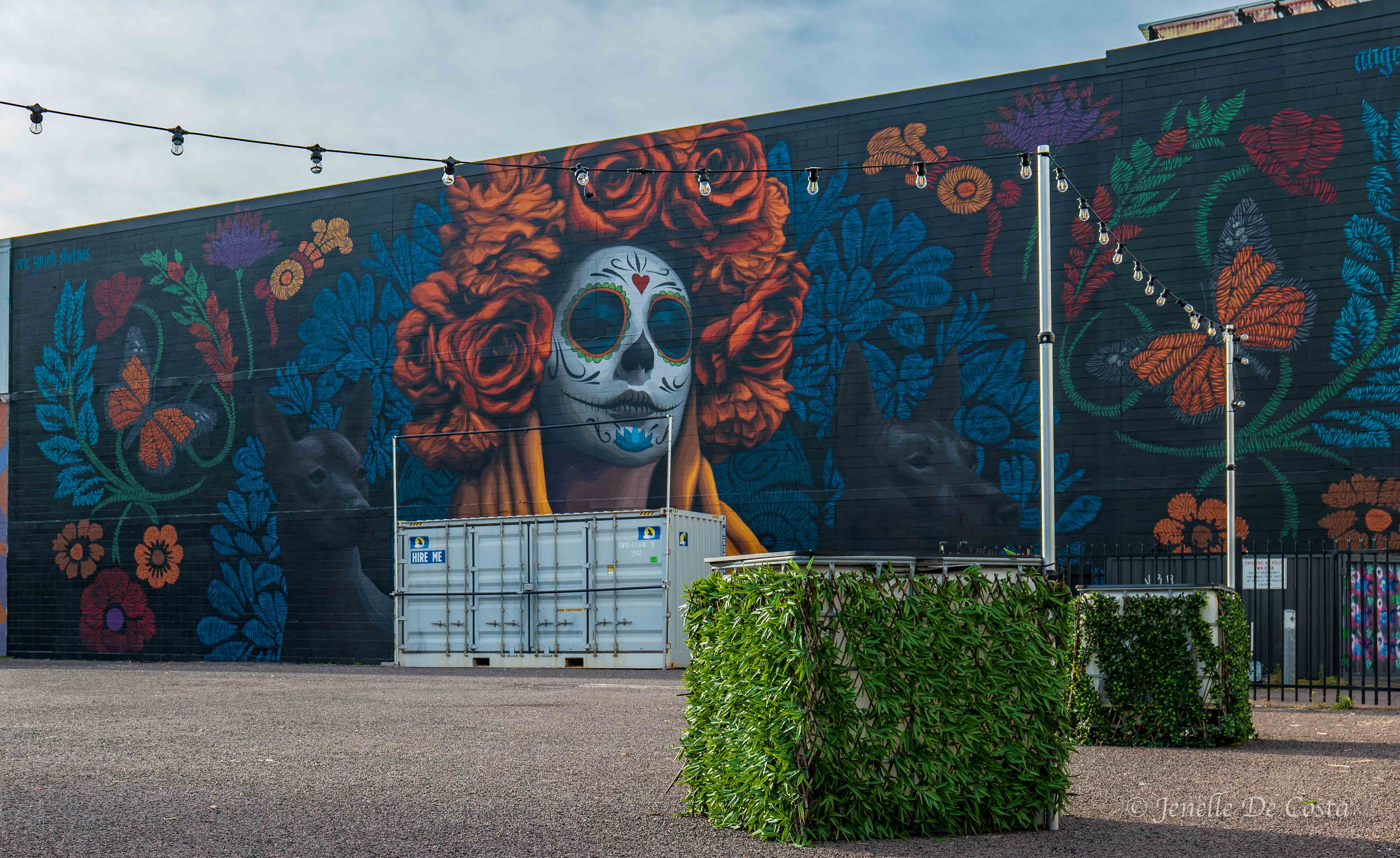 Darwin street mural