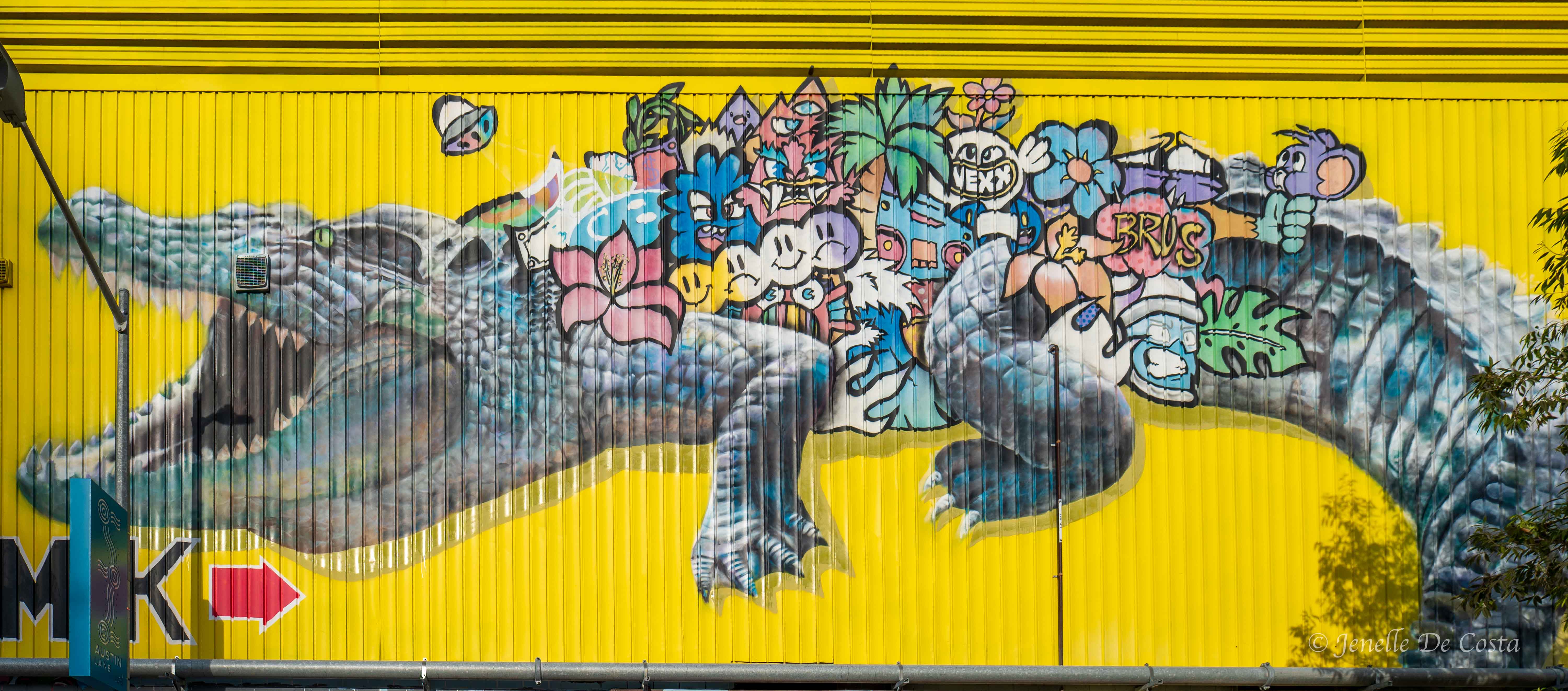 Darwin street mural