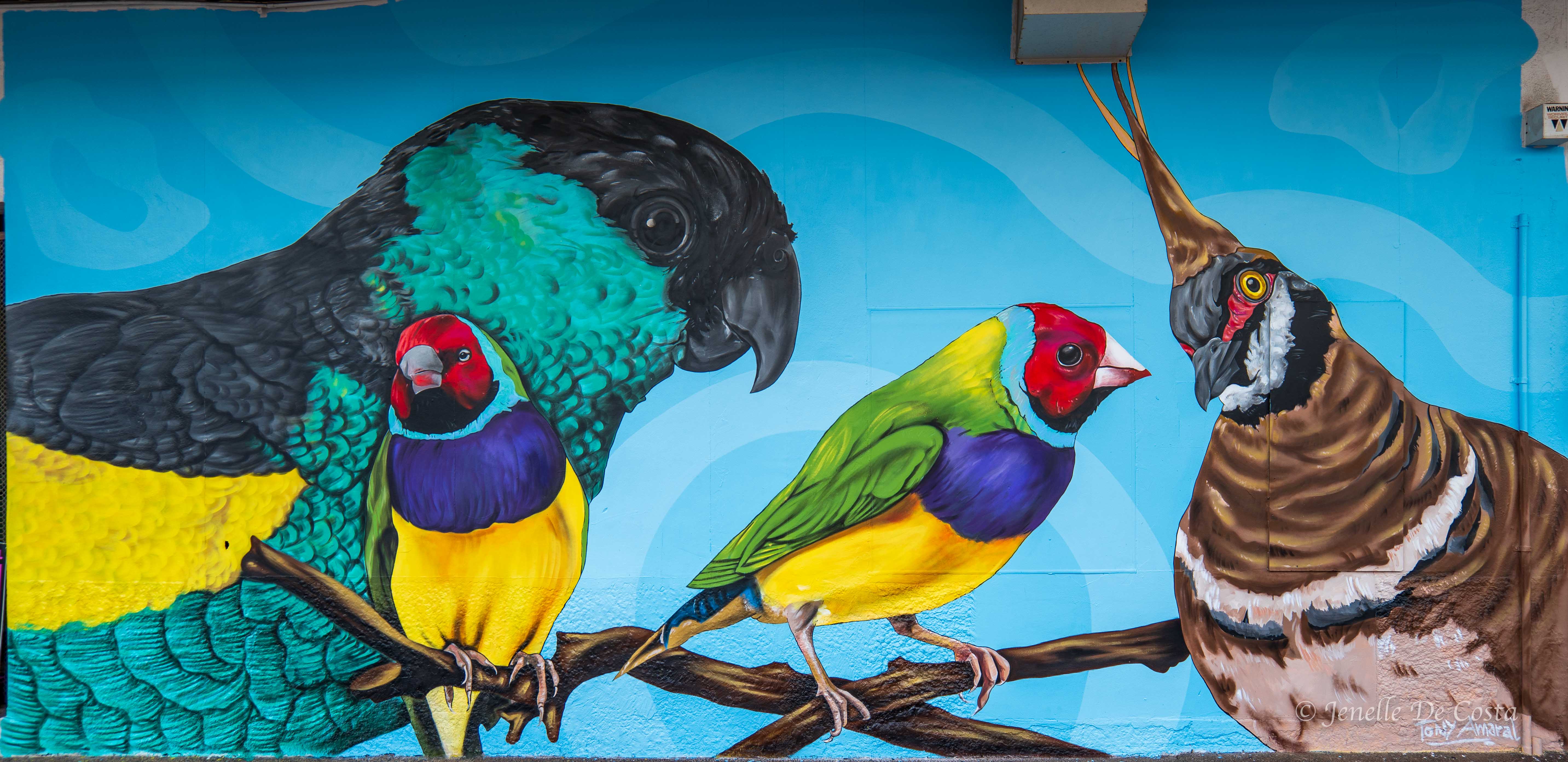 Darwin street mural